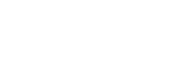 The Moss Report